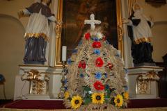 15.08.2013r.-Poswiecenie-Wiencow-18