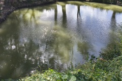 06.09.2026r.-Piknik-Bozogrobcow-87