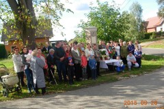 28.09.2015r. Koronka na ulicach miast 