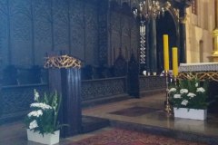 Torun-33