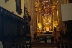 Torun-35
