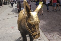 Torun-56